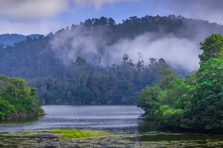 Luxury Glamping in Kodaikanal